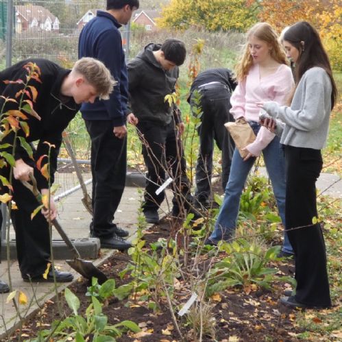 Sixth Form garden